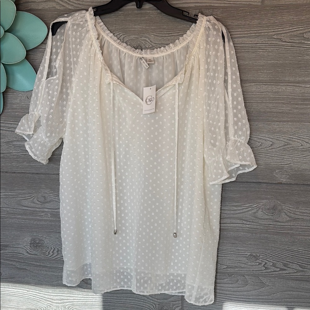 Women's CATO Off White Sheer Polka Dot Top